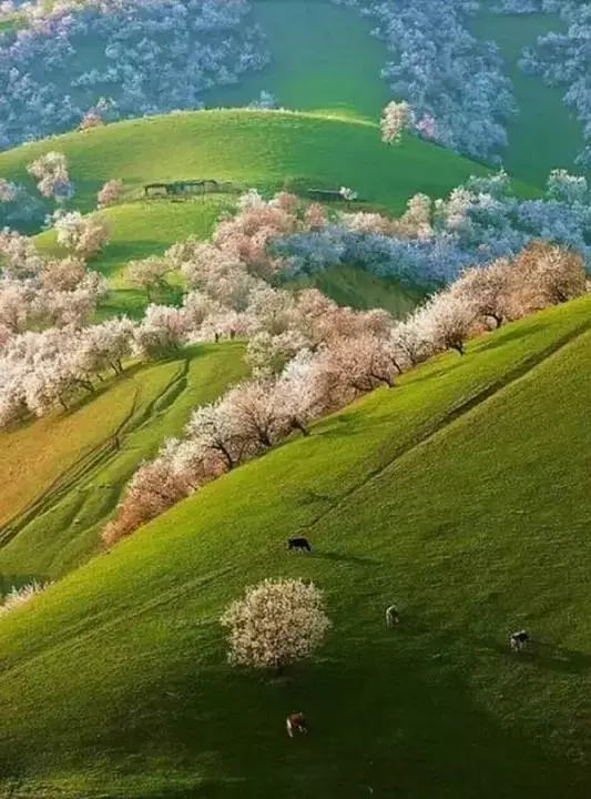 去新疆必游的五大景区  -图11