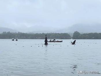 最爱烟雨西湖，杭州西湖一日游玩路线  -图8