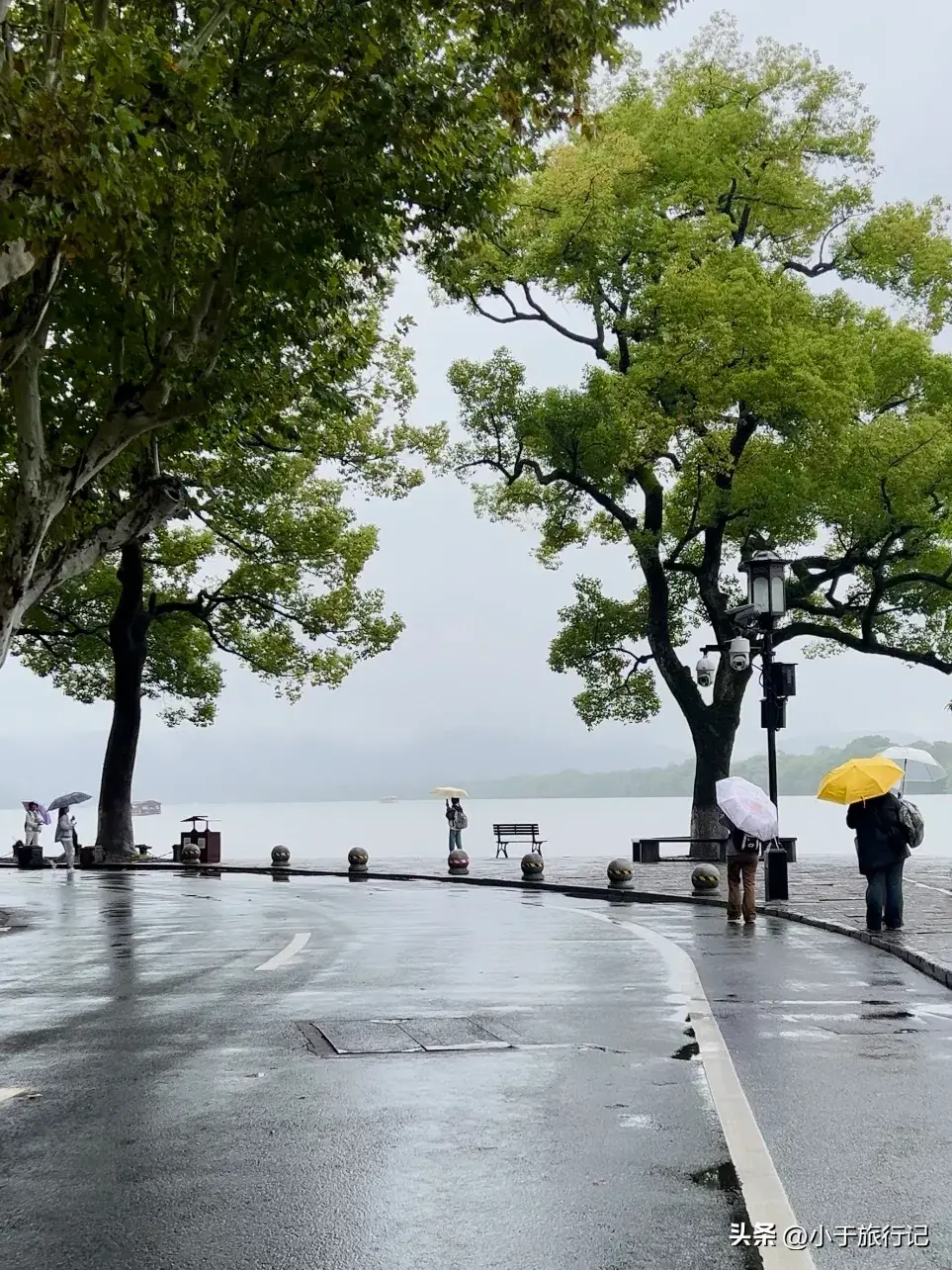 最爱烟雨西湖，杭州西湖一日游玩路线  -图7