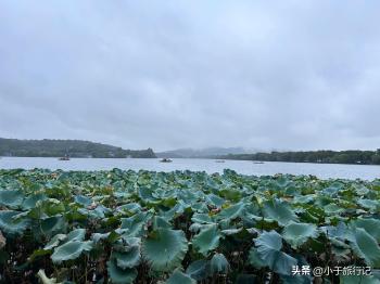 最爱烟雨西湖，杭州西湖一日游玩路线  -图10