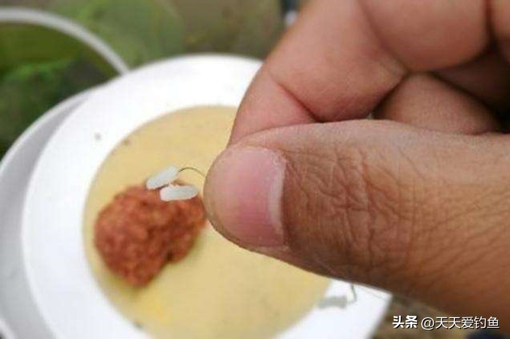 秋季野钓鲫鱼，最经典的5个饵料配方，大鲫鱼抢着吃  -图4