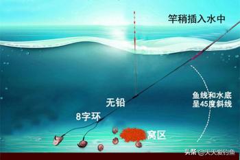 手竿野钓大鱼，5大专业钓法，熟练使用狂拉大鱼  -图4