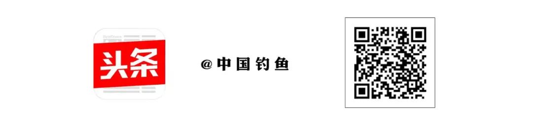 一念既出 万山无阻丨《中国钓鱼》2024年征订  -图11