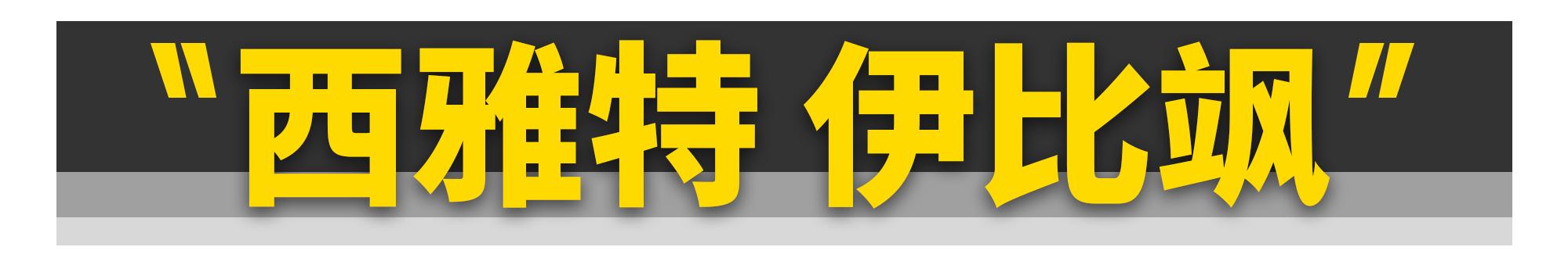 中国最非主流的11台二手车，都在这了  -图1