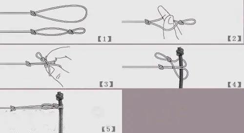 新手钓鱼如何快速学习主线、子线的绑法及线号选择？  -图2