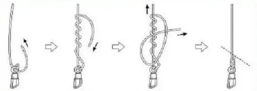 新手钓鱼如何快速学习主线、子线的绑法及线号选择？  -图3
