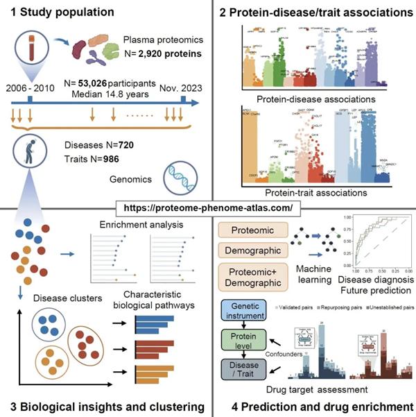 Cell发文！上海科学家绘制人类健康与疾病蛋白质组图谱  -图2