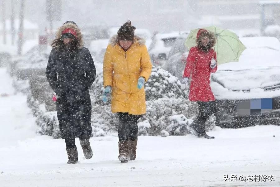 天气预报：2023年春节冷吗？农历七月初七天气能预兆，看农谚咋说  