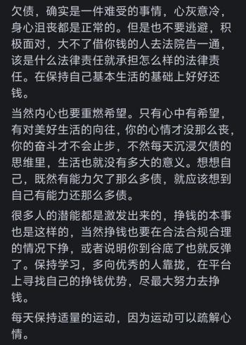 欠债金额达到一辈子也还不了的情况，你会怎么办？  -图8