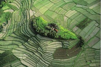 世界旅游地图揽胜—亚洲印度尼西亚巴厘岛  -图8