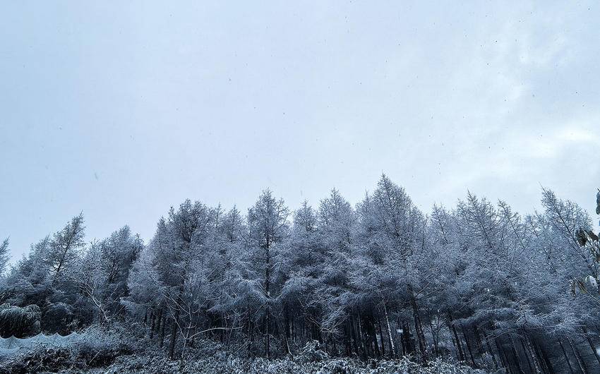 巴东：下雪啦！  -图4