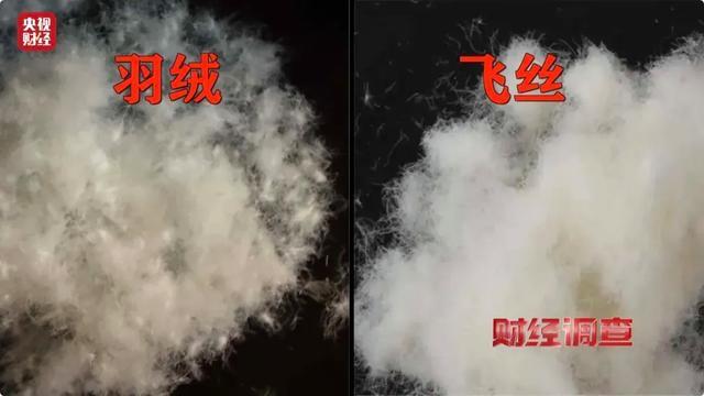 央视曝光羽绒骗局：含绒量为0，你可能正在穿！一个动作自查→丨第2眼  -图4